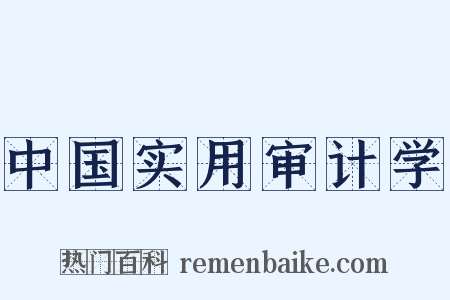 中国实用审计学是什么意思的图片